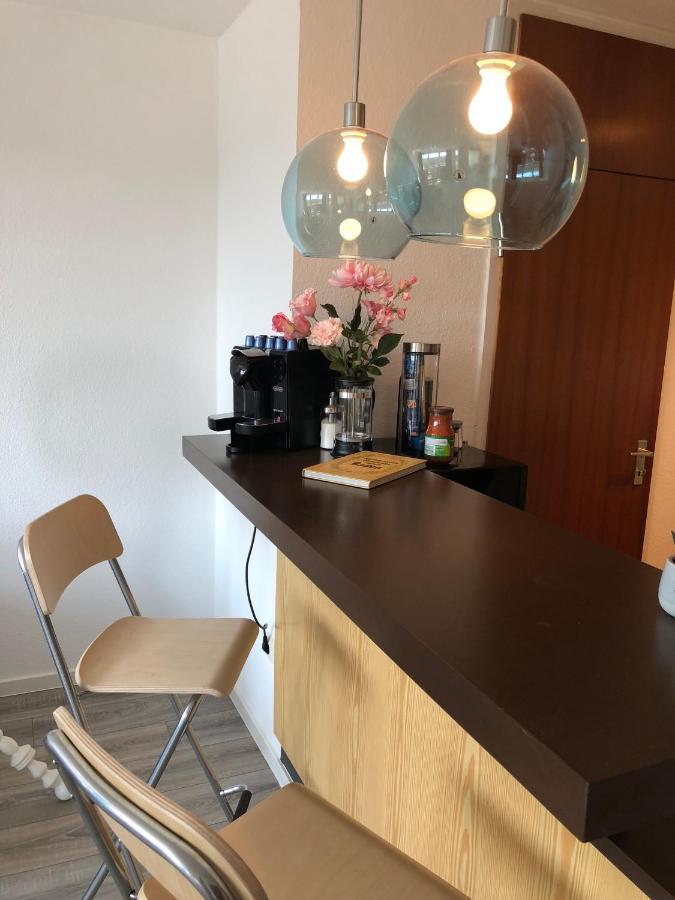 Grosses Appartement Mit Aussichtsbalkon Людвигсбург Экстерьер фото
